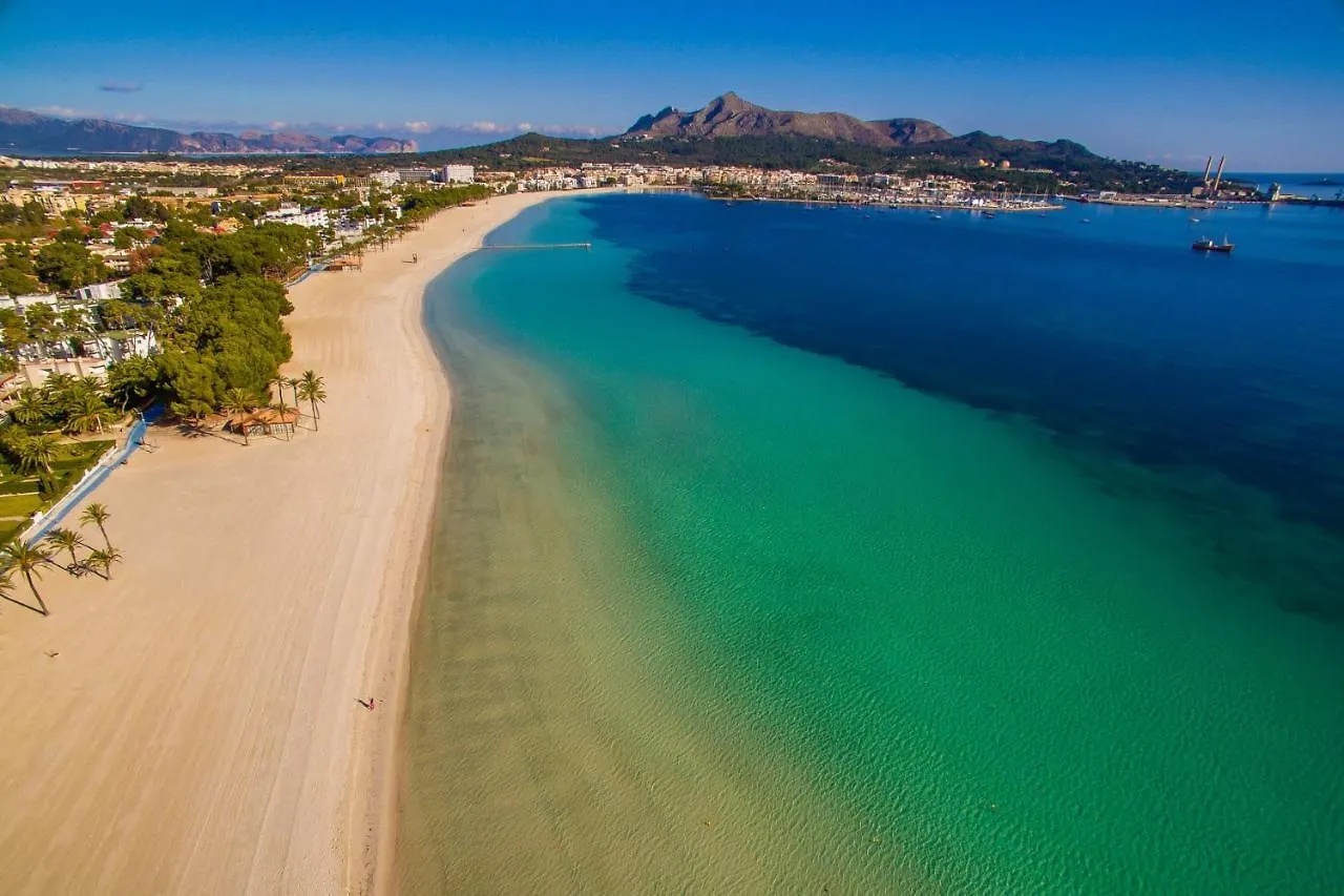 Lägenhet Ideal Property Mallorca - Cittadini 37 Alcudia